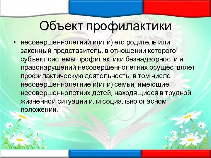 Объект профилактики несовершеннолетний и(или) его родитель или законный представитель, в отношении которого