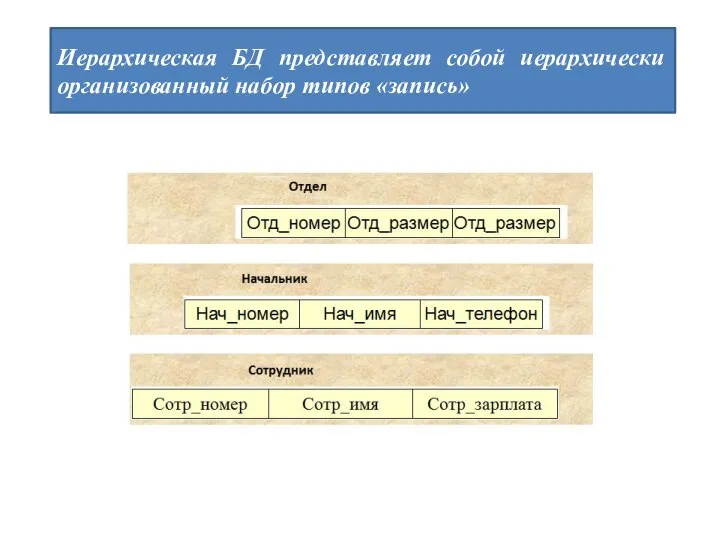 Иерархическая БД представляет собой иерархически организованный набор типов «запись»