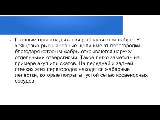 Главным органом дыхания рыб являются жабры. У хрящевых рыб жаберные щели имеют