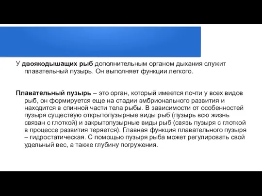 У двоякодышащих рыб дополнительным органом дыхания служит плавательный пузырь. Он выполняет функции