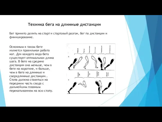 Техника бега на длинные дистанции Бег принято делить на старт и стартовый