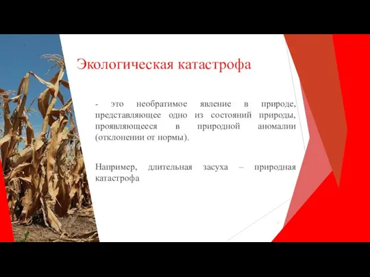 Экологическая катастрофа - это необратимое явление в природе, представляющее одно из состояний