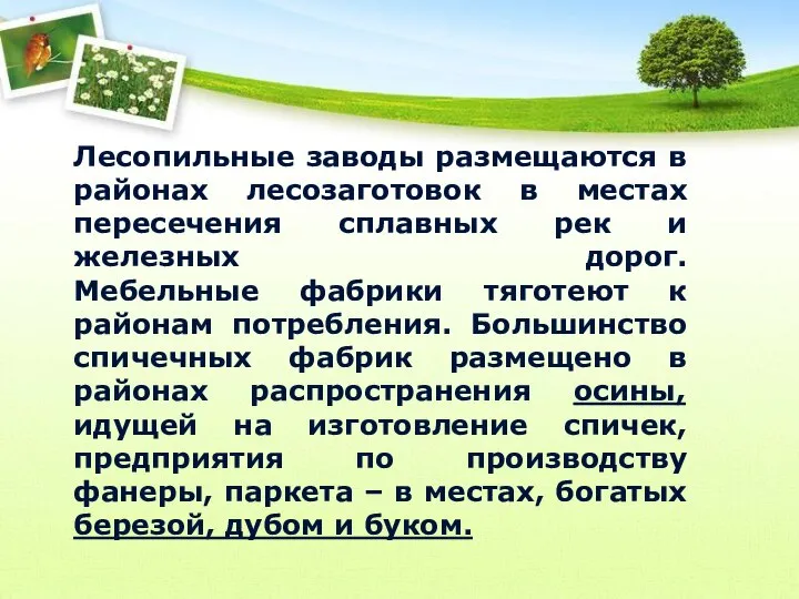 Лесопильные заводы размещаются в районах лесозаготовок в местах пересечения сплавных рек и