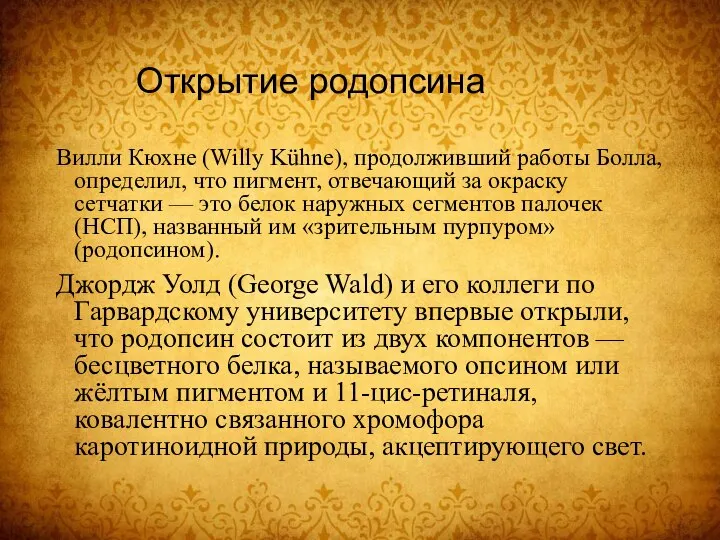 Открытие родопсина Вилли Кюхне (Willy Kühne), продолживший работы Болла, определил, что пигмент,