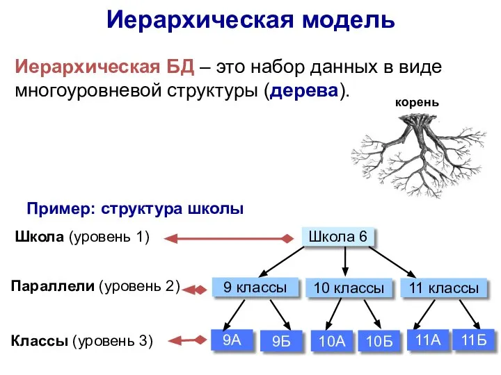 Иерархическая модель Иерархическая БД – это набор данных в виде многоуровневой структуры