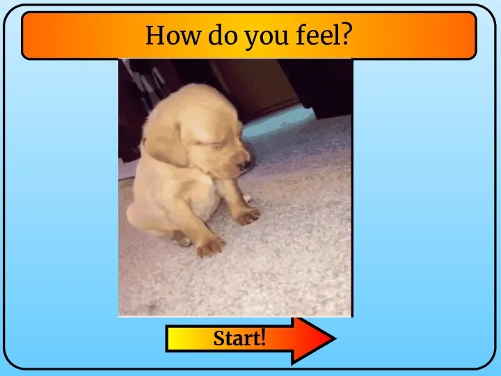 Start! How do you feel?