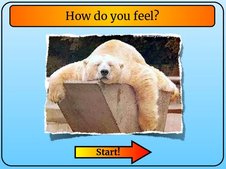 Start! How do you feel?