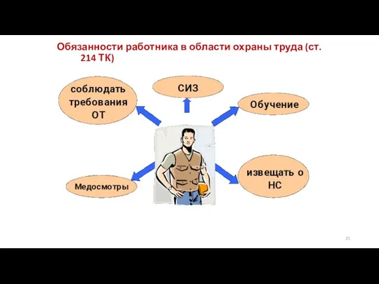 Обязанности работника в области охраны труда (ст. 214 ТК)