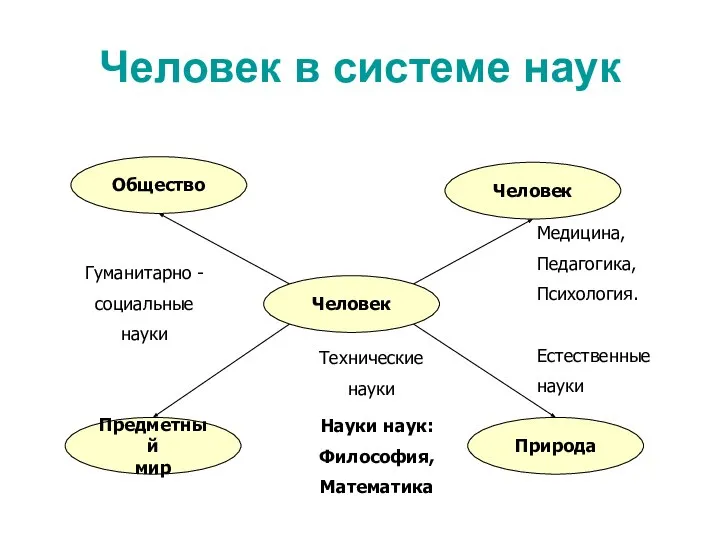 Человек в системе наук Человек Предметный мир Природа Общество Человек Гуманитарно -