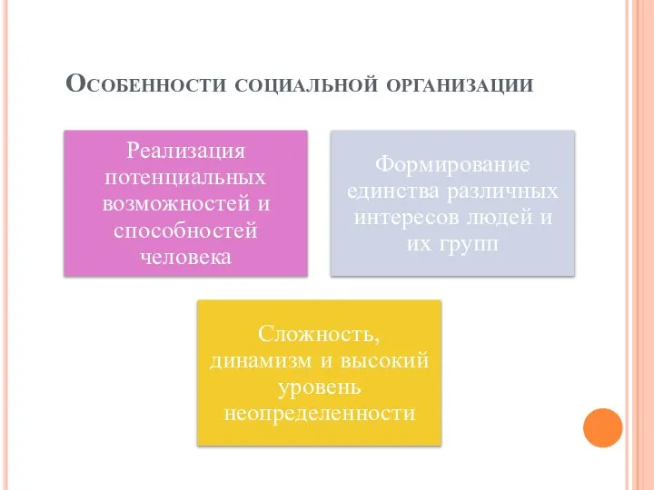 Особенности социальной организации