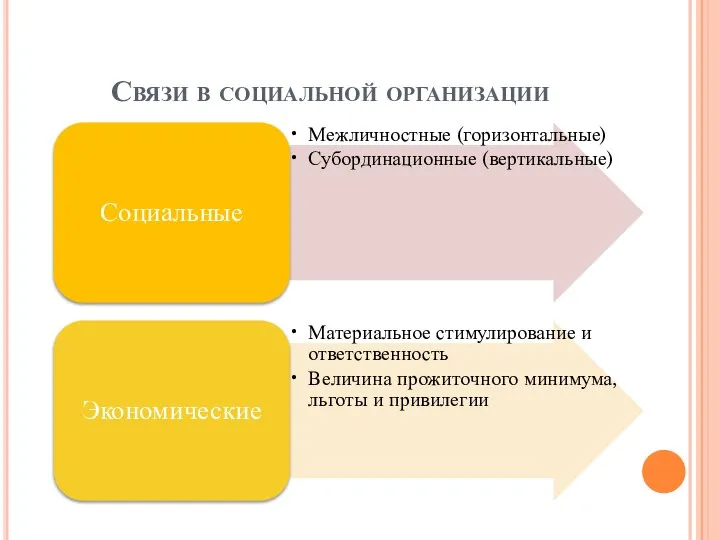 Связи в социальной организации