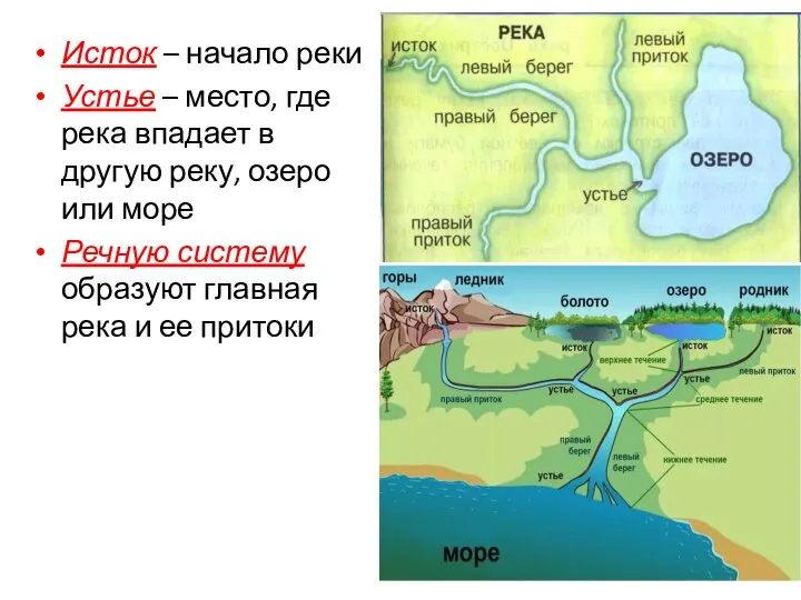 Исток – начало реки Устье – место, где река впадает в другую