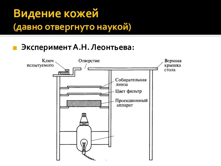 Видение кожей (давно отвергнуто наукой) Эксперимент А.Н. Леонтьева: