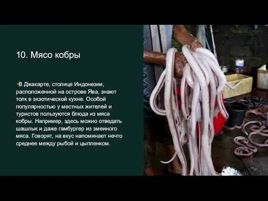 10. Мясо кобры В Джакарте, столице Индонезии, расположенной на острове Ява, знают