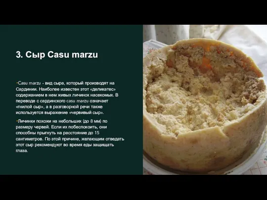 3. Сыр Casu marzu Casu marzu - вид сыра, который производят на