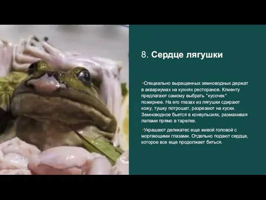 8. Сердце лягушки Специально выращенных земноводных держат в аквариумах на кухнях ресторанов.