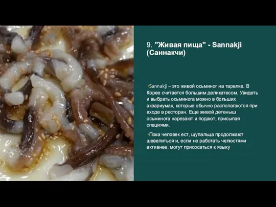 9. "Живая пища" - Sannakji (Саннакчи) Sannakji – это живой осьминог на
