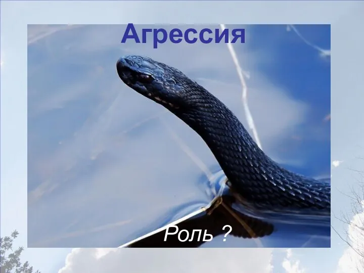 Агрессия Роль ?