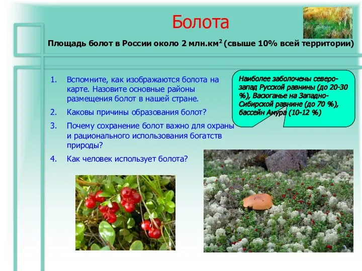 Болота Площадь болот в России около 2 млн.км2 (свыше 10% всей территории)