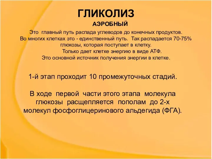 Это главный путь распада углеводов до конечных продуктов. Во многих клетках это