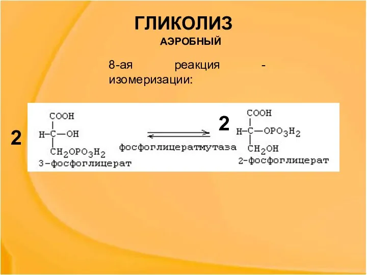 ГЛИКОЛИЗ 2 2 8-ая реакция - изомеризации: АЭРОБНЫЙ