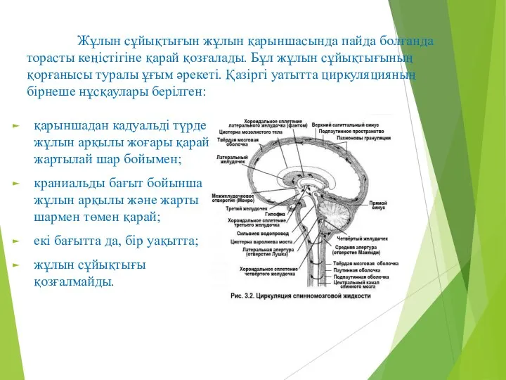 Жұлын сұйықтығын жұлын қарыншасында пайда болғанда торасты кеңістігіне қарай қозғалады. Бұл жұлын