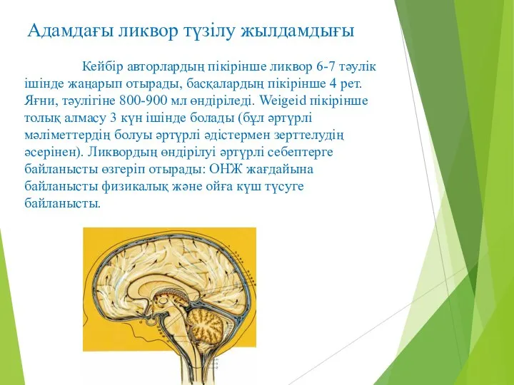 Адамдағы ликвор түзілу жылдамдығы Кейбір авторлардың пікірінше ликвор 6-7 тәулік ішінде жаңарып