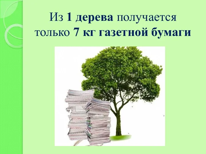 Из 1 дерева получается только 7 кг газетной бумаги