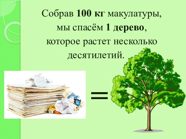 Собрав 100 кг макулатуры, мы спасём 1 дерево, которое растет несколько десятилетий. =