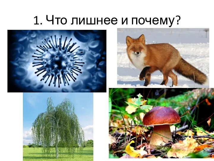 1. Что лишнее и почему?