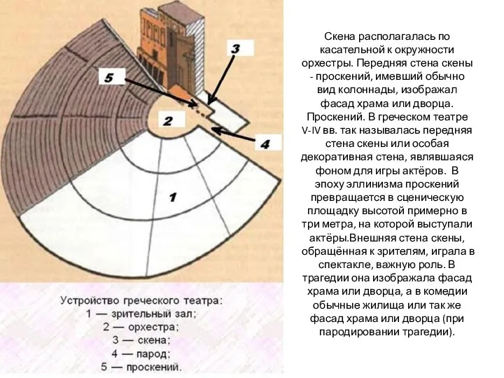 Скена располагалась по касательной к окружности орхестры. Передняя стена скены - проскений,