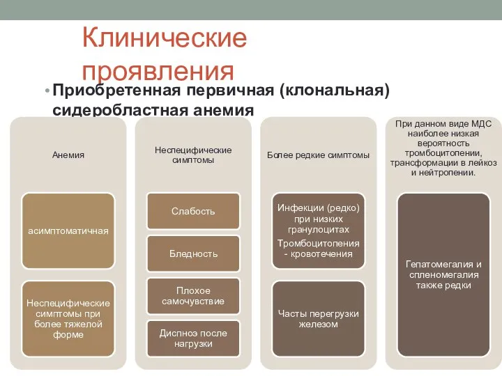 Клинические проявления Приобретенная первичная (клональная) сидеробластная анемия