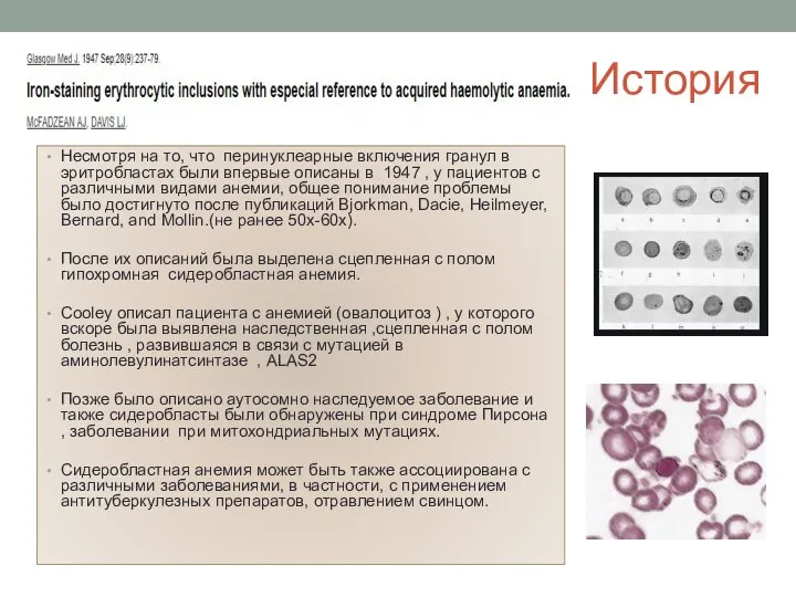 История Несмотря на то, что перинуклеарные включения гранул в эритробластах были впервые