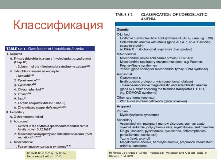 Классификация Kenneth Kaushansky - Williams Hematology 9 edition , 2016. Hoffbrand Color