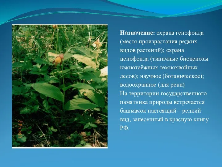 Назначение: охрана генофонда (место произрастания редких видов растений); охрана ценофонда (типичные биоценозы
