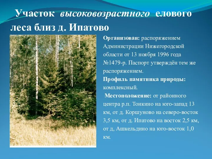 Участок высоковозрастного елового леса близ д. Ипатово Организован: распоряжением Администрации Нижегородской области