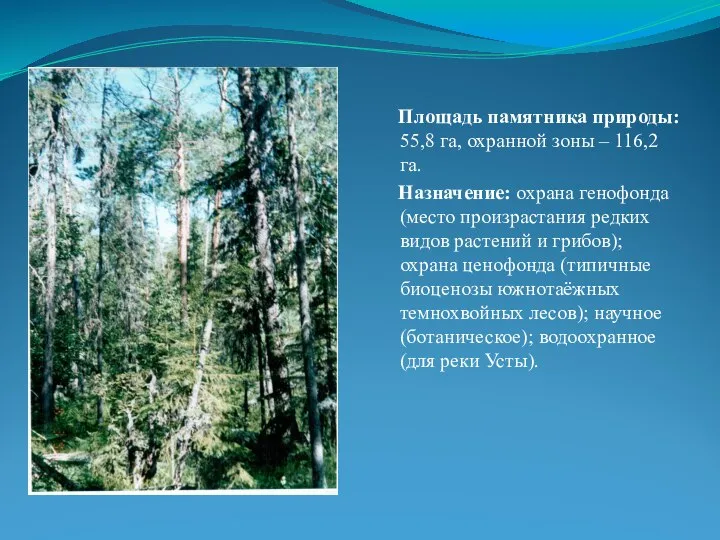 Площадь памятника природы: 55,8 га, охранной зоны – 116,2 га. Назначение: охрана