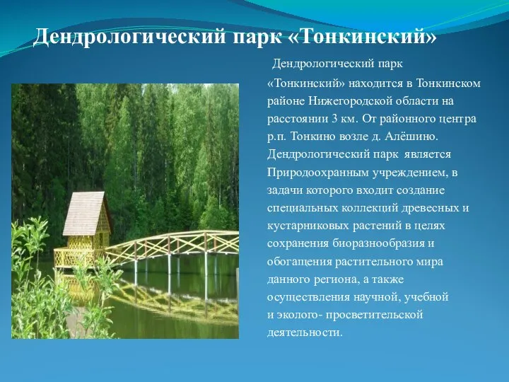 Дендрологический парк «Тонкинский» Дендрологический парк «Тонкинский» находится в Тонкинском районе Нижегородской области