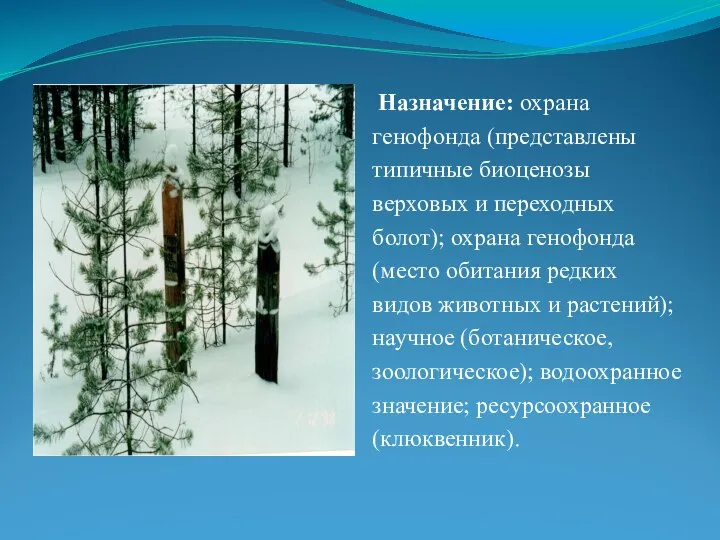 Назначение: охрана генофонда (представлены типичные биоценозы верховых и переходных болот); охрана генофонда