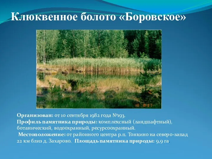 Клюквенное болото «Боровское» Организован: от 10 сентября 1982 года №193. Профиль памятника