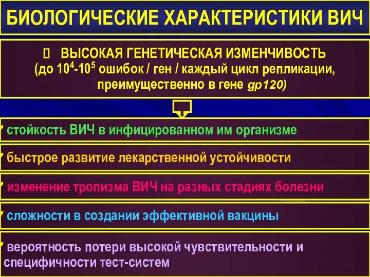 БИОЛОГИЧЕСКИЕ ХАРАКТЕРИСТИКИ ВИЧ ВЫСОКАЯ ГЕНЕТИЧЕСКАЯ ИЗМЕНЧИВОСТЬ (до 104-105 ошибок / ген /