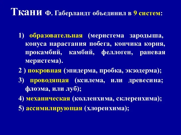 1) образовательная (меристема зародыша, конуса нарастания побега, кончика корня, прокамбий, камбий, феллоген,