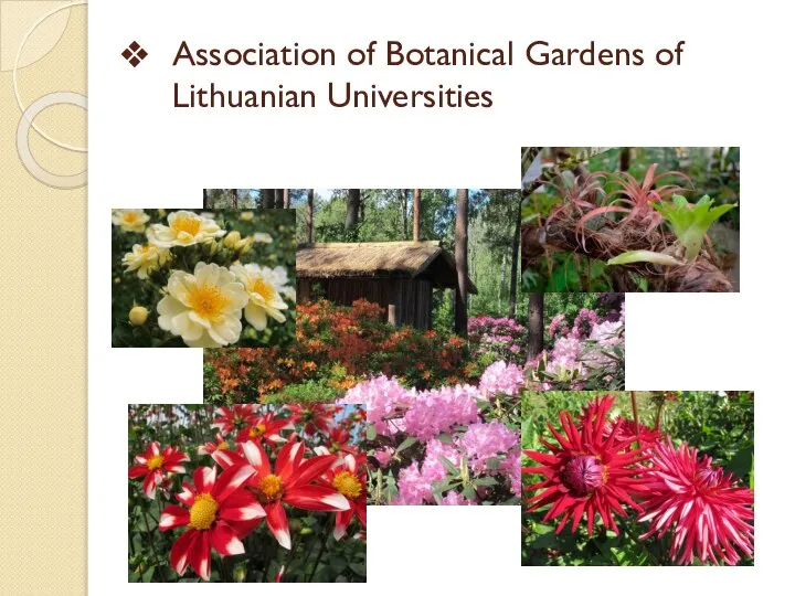 Association of Botanical Gardens of Lithuanian Universities