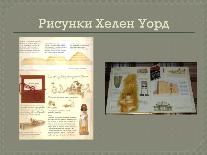 Рисунки Хелен Уорд