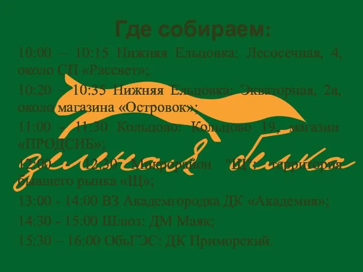 Где собираем: 10:00 – 10:15 Нижняя Ельцовка: Лесосечная, 4, около СП «Рассвет»;