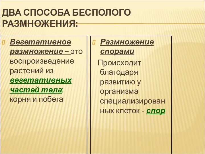 ДВА СПОСОБА БЕСПОЛОГО РАЗМНОЖЕНИЯ: Вегетативное размножение – это воспроизведение растений из вегетативных