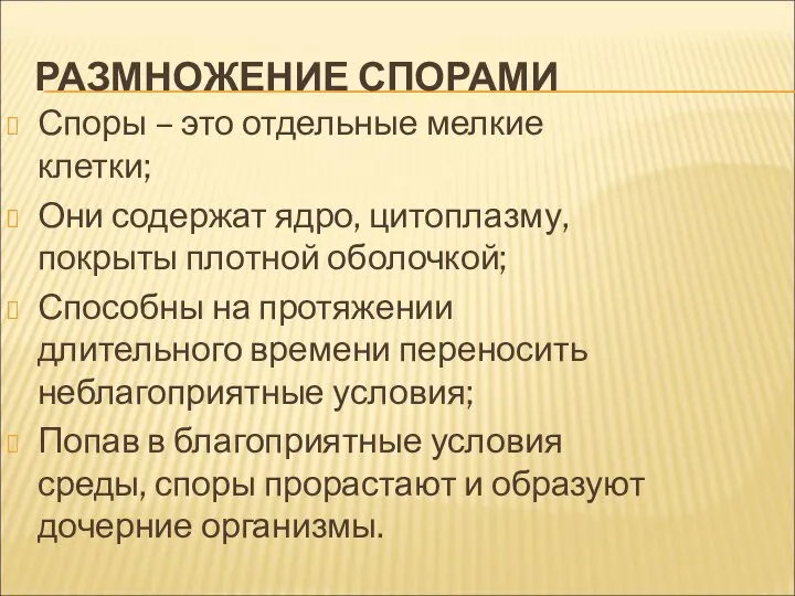 РАЗМНОЖЕНИЕ СПОРАМИ Споры – это отдельные мелкие клетки; Они содержат ядро, цитоплазму,