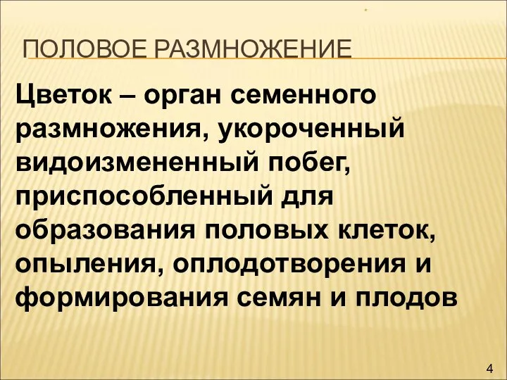 ПОЛОВОЕ РАЗМНОЖЕНИЕ * Цветок – орган семенного размножения, укороченный видоизмененный побег, приспособленный