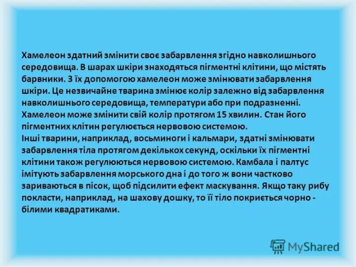 Хамелеони головним чином змінюють колір під впливом оточуючих факторів (освітлення, температура, вологість