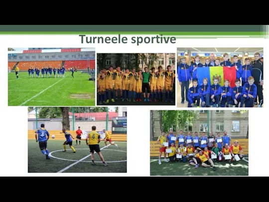 Turneele sportive